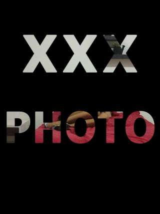 trans girl Violet47 7638349 trans girl Violet47 7638349