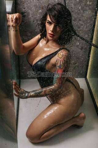 trans girl ViolettaPine 7435411 trans girl ViolettaPine 7435411