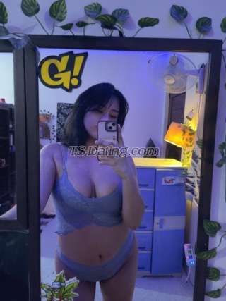 trans girl Violetxxx 4459013 trans girl Violetxxx 4459013