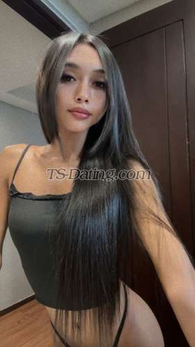 trans girl Vionetta 7444351 trans girl Vionetta 7444351