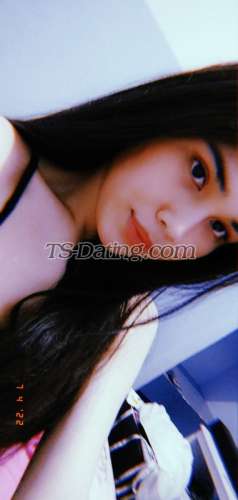 trans girl Virginvip 8289058