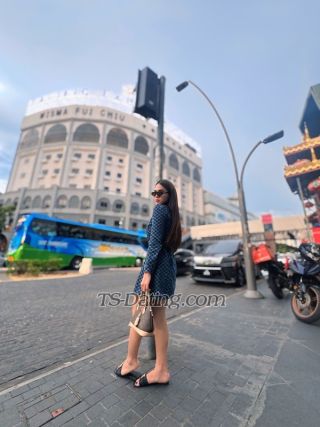 trans girl Vivi1708 1738451 trans girl Vivi1708 1738451