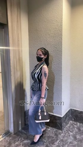 trans girl Vivi1708 2630018 trans girl Vivi1708 2630018