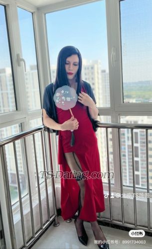 trans girl VivianLove 9137252 trans girl VivianLove 9137252