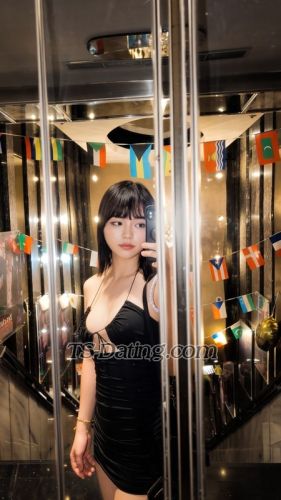 trans girl Vivianrose 3790090 trans girl Vivianrose 3790090