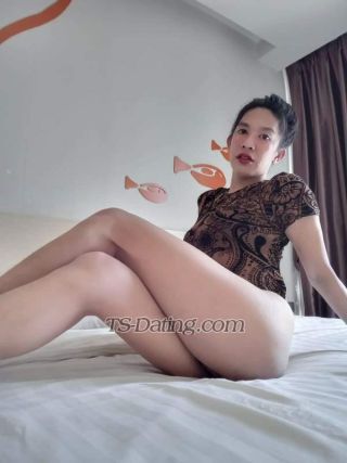 trans girl VixenAmanda 4123908