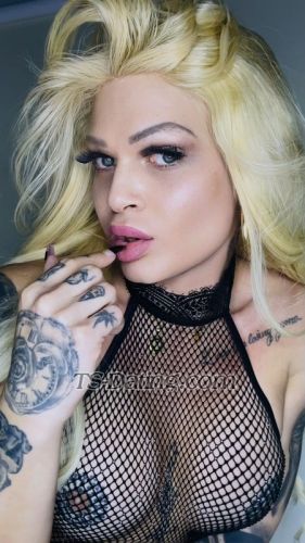 trans girl vanesa4you 9331497