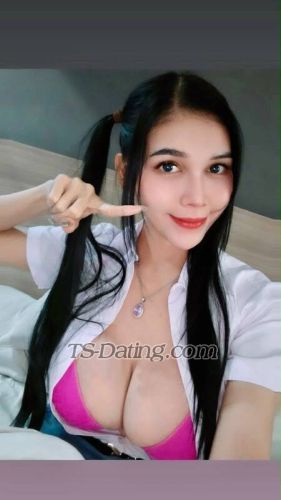 trans girl vaniagabrelly 1725502 trans girl vaniagabrelly 1725502