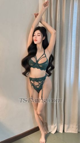 trans girl vaniagabrelly 5062929 trans girl vaniagabrelly 5062929