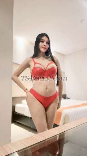 trans girl vaniagabrelly 8449590 trans girl vaniagabrelly 8449590