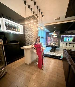 trans girl vaniagabrelly 8606236 trans girl vaniagabrelly 8606236