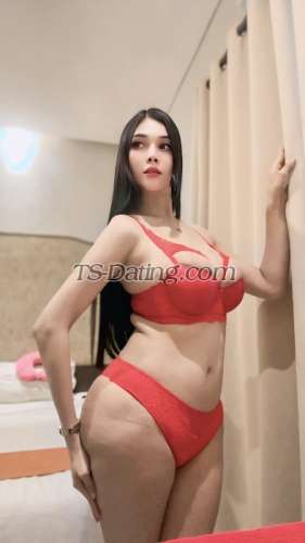 trans girl vaniagabrelly 8846002 trans girl vaniagabrelly 8846002