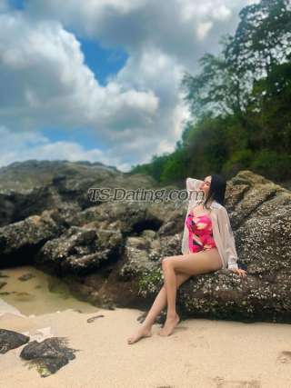 trans girl vaniagabrelly 8853575 trans girl vaniagabrelly 8853575