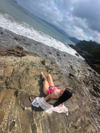 trans girl vaniagabrelly 8853792 trans girl vaniagabrelly 8853792