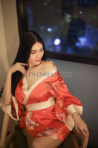 trans girl vaniagabrelly 9119941 trans girl vaniagabrelly 9119941