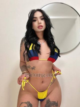 trans girl vanlively 4848092