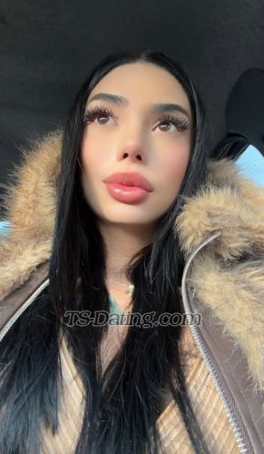 trans girl vanlively 4868391