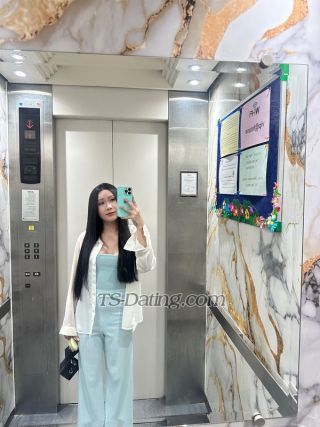 trans girl venusbeauty12 3556252 trans girl venusbeauty12 3556252