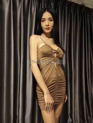 trans girl verstara 7496344 trans girl verstara 7496344