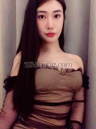 trans girl vincetrans 8554376 trans girl vincetrans 8554376