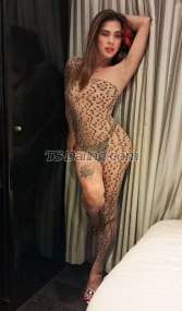Shemale-WILDTsSandra-3849825 