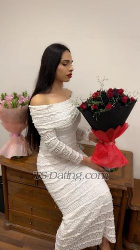 trans girl Wafia 4430333 trans girl Wafia 4430333