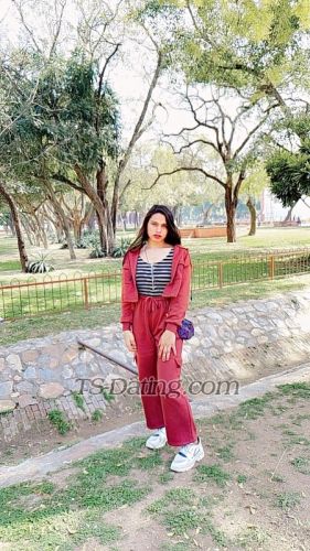 trans girl Wafia 4430393 trans girl Wafia 4430393