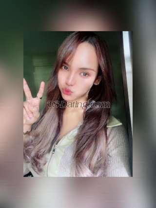 trans girl WendynG 6930424 trans girl WendynG 6930424