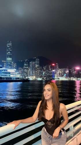 trans girl WifeMaterial 4200593 trans girl WifeMaterial 4200593