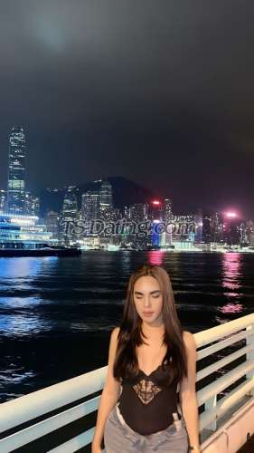 trans girl WifeMaterial 4200632 trans girl WifeMaterial 4200632