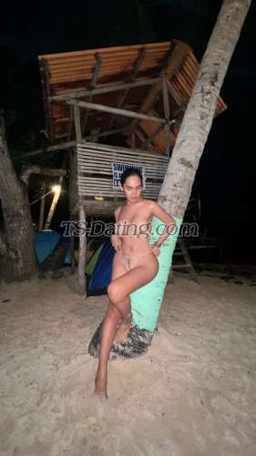 trans girl WifeMaterial 4264584 trans girl WifeMaterial 4264584