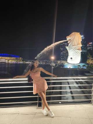 trans girl WifeMaterial 7451428 trans girl WifeMaterial 7451428