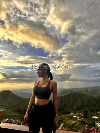 trans girl WifeMaterial 9366553 trans girl WifeMaterial 9366553