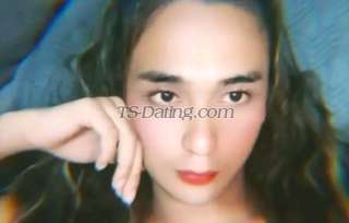 trans girl WildKim 6637560 trans girl WildKim 6637560