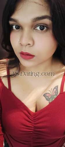 trans girl WildSonia 2031860 trans girl WildSonia 2031860