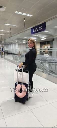 trans girl WildTsJOyce 8413380 trans girl WildTsJOyce 8413380