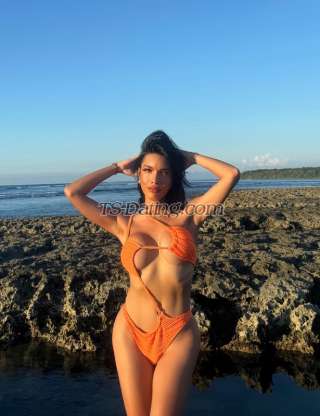 trans girl WildestFantas 8433417