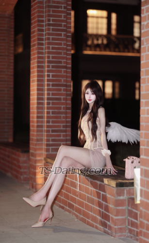 trans girl wangjiaying 8338161