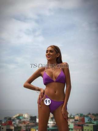 trans girl wildestdream 2626121 trans girl wildestdream 2626121