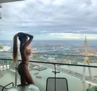 trans girl wildestdream 8896113 trans girl wildestdream 8896113