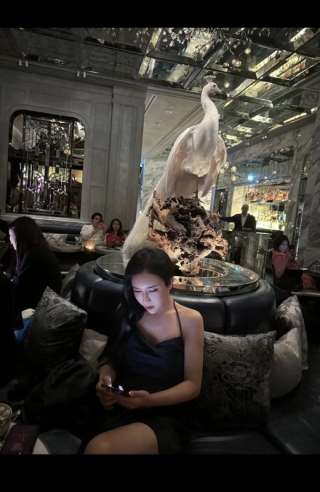 Xingyu1133 3067761 Xingyu1133 3067761