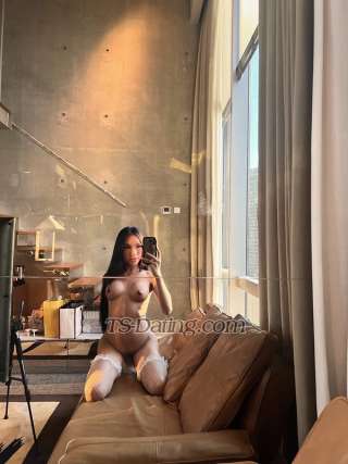 trans girl Xtinedior 1429116 trans girl Xtinedior 1429116