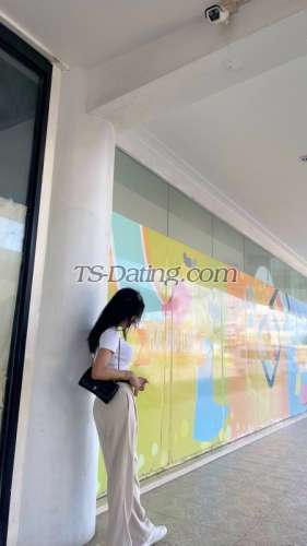 trans girl XxBabyCakexX 8014913 trans girl XxBabyCakexX 8014913