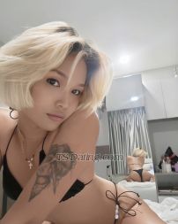 xcocox bangkok  Transex Rencontrons-nous et profitons ensemble Essayez-moi… Je vais te gâter ! Je ferai ce que tu veux. Toutes mes photos sont 100% réelles Ce que vous voyez est ce que vous obtenez Contactez-moi ID de ligne : babyxgirl69 +66917276891 MEILLEURE PIPE ET SEXE AMOUREUX DISPONIBLE ! J'AI DU POPPERS !