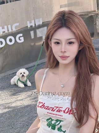 trans girl xiaobaitu 6797372 trans girl xiaobaitu 6797372