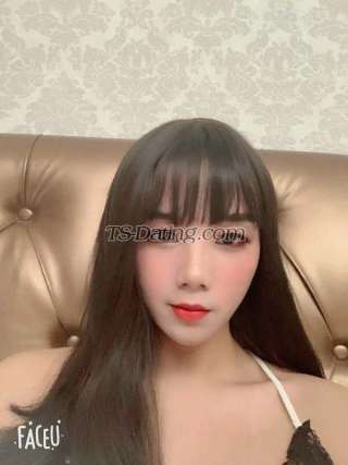 trans girl xiaoxuer 0013338