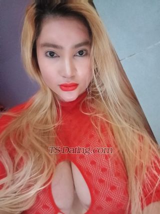 trans girl xoxolove22 2390847 trans girl xoxolove22 2390847