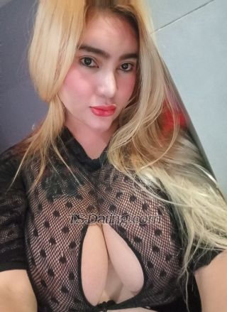trans girl xoxolove22 2976291
