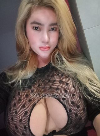 trans girl xoxolove22 8979052 trans girl xoxolove22 8979052