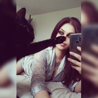 trans girl Yamaar 6072228